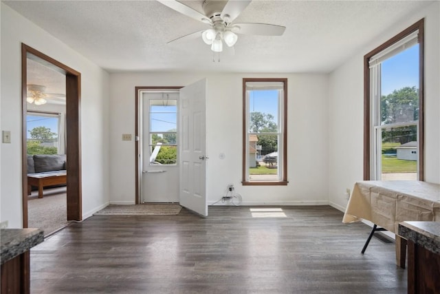 1802 9th Ave, Belle Plaine, IA 52208 - entrance foyer featuring healthy amount of natural light, ceiling fan, dark wood-style flooring, and a textured ceiling