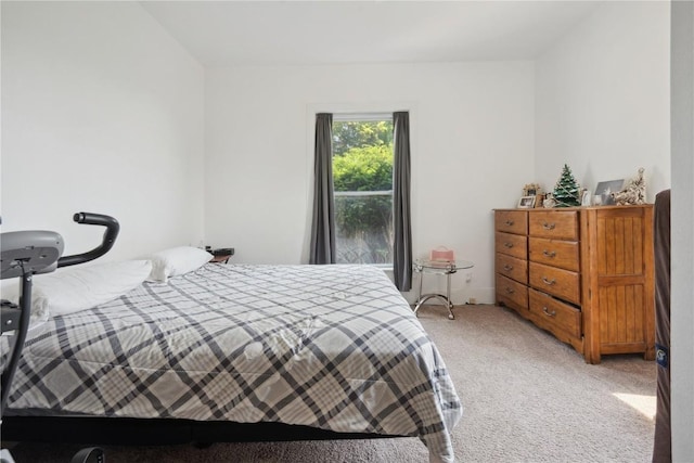 1802 9th Ave, Belle Plaine, IA 52208 - bedroom featuring light colored carpet