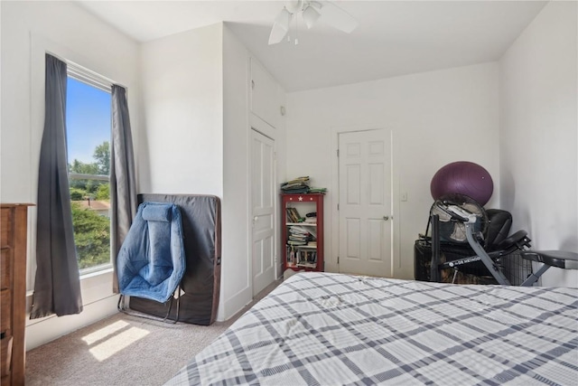 1802 9th Ave, Belle Plaine, IA 52208 - bedroom featuring carpet and ceiling fan