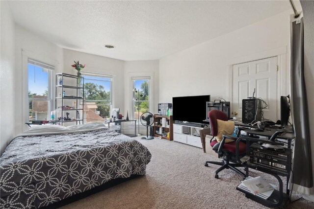 1802 9th Ave, Belle Plaine, IA 52208 - carpeted bedroom with multiple windows, a textured ceiling, and an office area