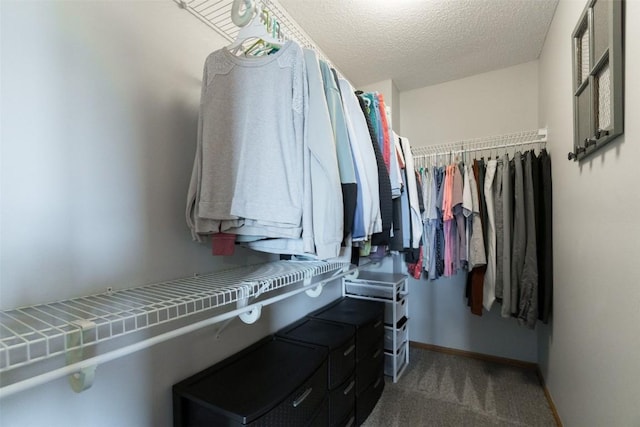 310 34th Ave, Marion, IA 52302 - spacious closet with carpet