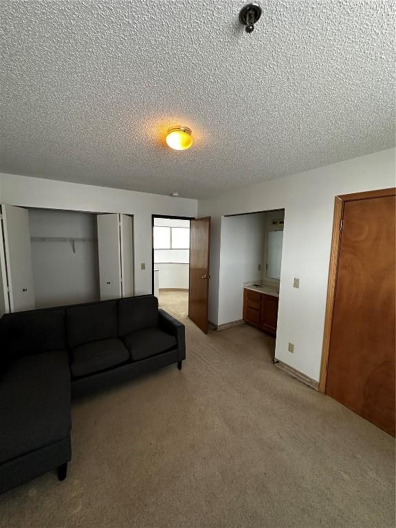 400 1st St SE Unit 410, Cedar Rapids, IA 52401 - living room with a textured ceiling and light carpet