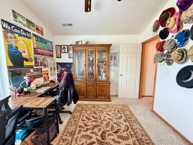 2731 Blazing Star Dr, Iowa City, IA 52240 - photo 21