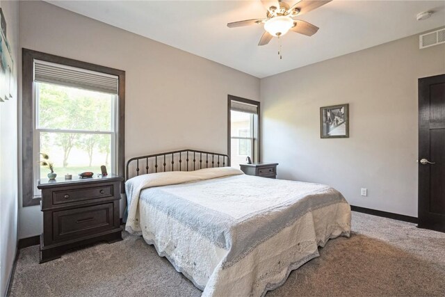 1602 Bridge Creek Ct, Marion, IA 52302 - bedroom with carpet and ceiling fan