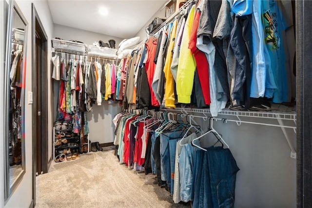 1602 Bridge Creek Ct, Marion, IA 52302 - walk in closet with carpet floors