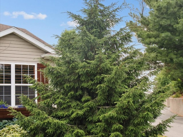 929 Willow Ln Unit A, Lisbon, IA 52253 - view of property exterior