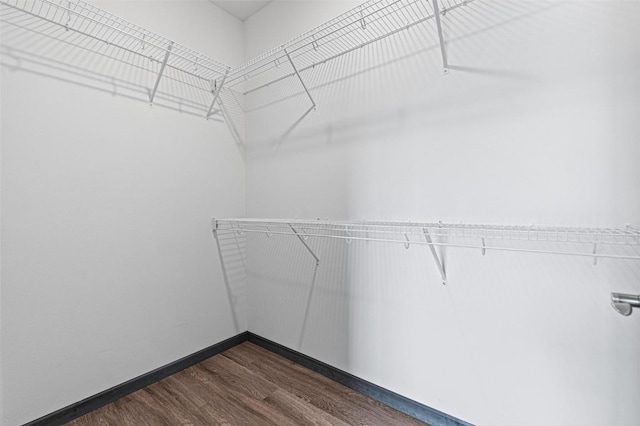 2871 Spring Rose Cir Unit 207, Coralville, IA 52241 - spacious closet featuring dark wood finished floors