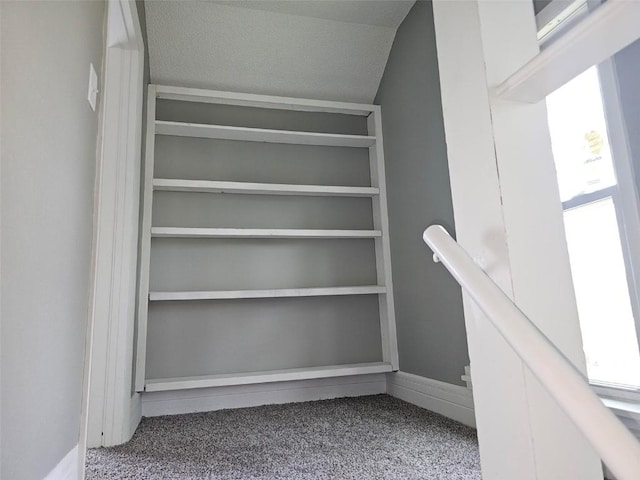 920 E Washington St, Center Point, IA 52213 - spacious closet featuring carpet floors and lofted ceiling