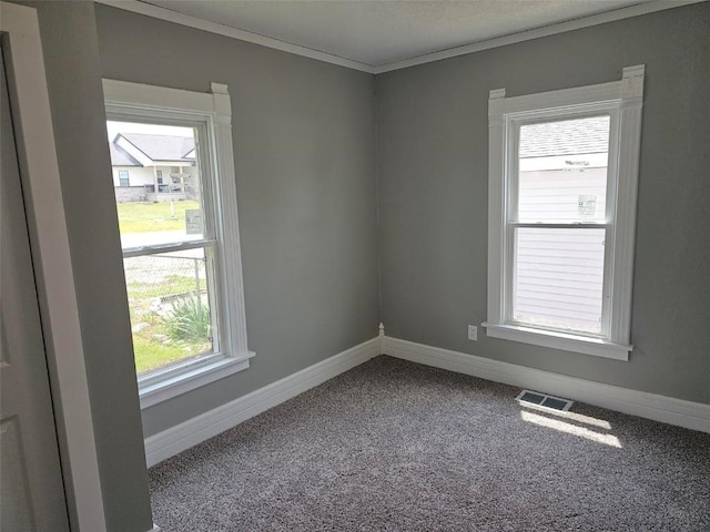 920 E Washington St, Center Point, IA 52213 - spare room with carpet and ornamental molding