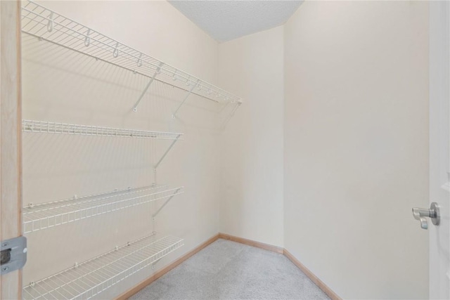 218 Teakwood Ln NE, Cedar Rapids, IA 52402 - walk in closet with carpet floors