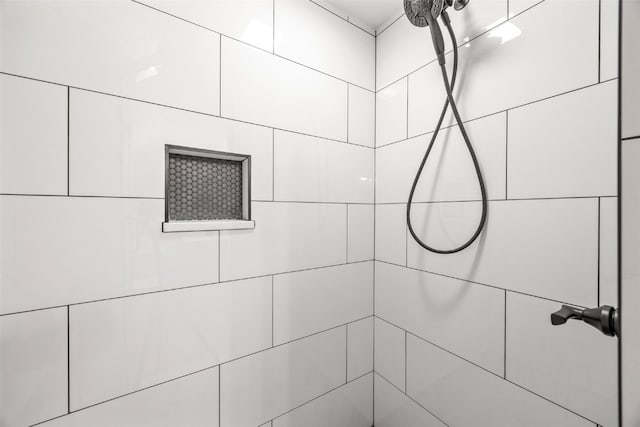13294 212th Ave, Anamosa, IA 52205 - full bathroom with a tile shower