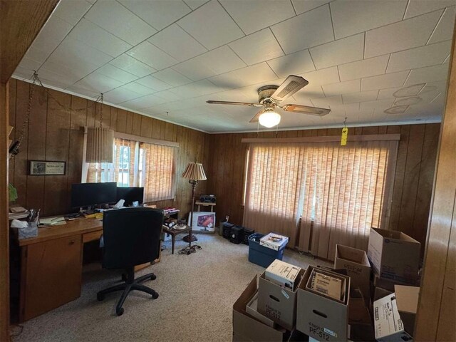3367 Frost Ave, Brandon, IA 52210 - office space with wood walls, carpet flooring, and ceiling fan