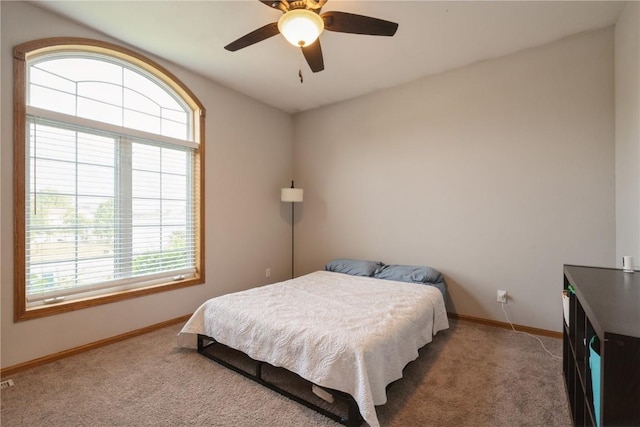 765 34th Ave, Marion, IA 52302 - bedroom with multiple windows, carpet, and ceiling fan