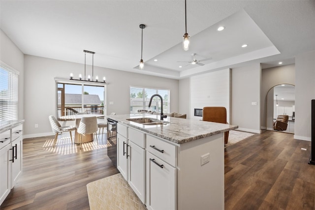 6415 Rookwood Ln, Marion, IA 52302 - kitchen with a tray ceiling, dishwasher, a ceiling fan, dark wood-style floors, and light stone counters