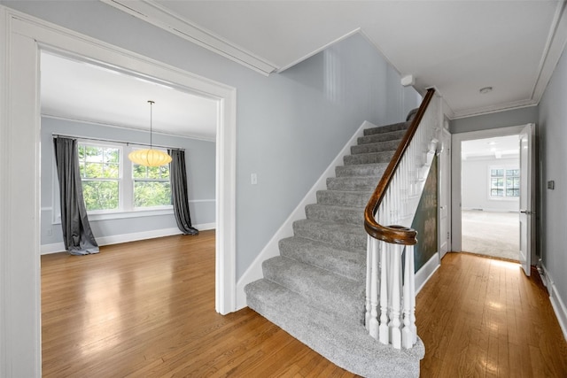 362 Garden Dr SE, Cedar Rapids, IA 52403 - stairway featuring ornamental molding, wood finished floors, and plenty of natural light