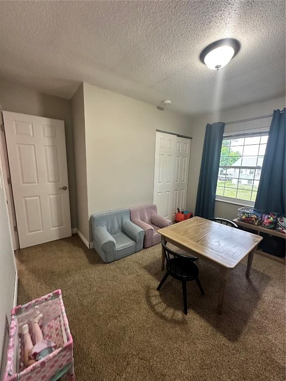 6706 Boxwood Ln NE, Cedar Rapids, IA 52402 - carpeted living room with a textured ceiling