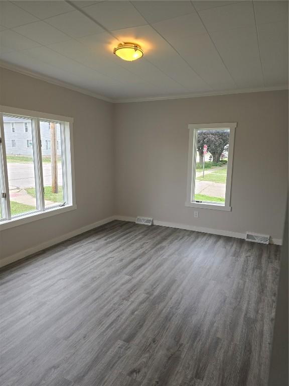 314 Main St, Oxford Junction, IA 52323 - unfurnished room with ornamental molding, dark wood-style flooring, and healthy amount of natural light