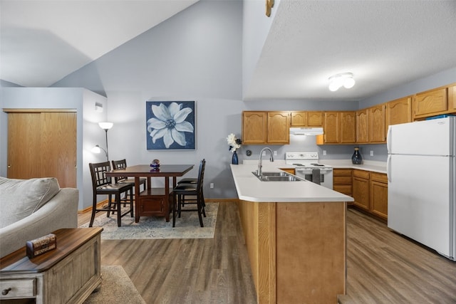 3810 Waterview Ct SW, Cedar Rapids, IA 52404 - kitchen with white appliances, under cabinet range hood, wood finished floors, a peninsula, and light countertops
