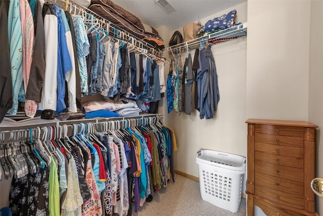 3810 Waterview Ct SW, Cedar Rapids, IA 52404 - walk in closet featuring carpet floors
