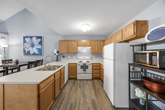 3810 Waterview Ct SW, Cedar Rapids, IA 52404 - kitchen featuring white appliances, under cabinet range hood, a peninsula, dark wood-style flooring, and light countertops