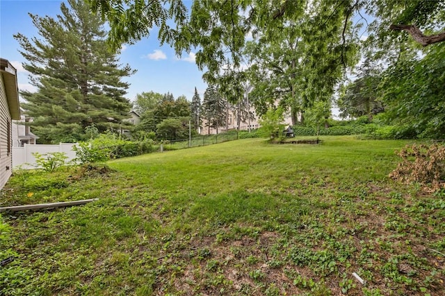 314 2nd St NW, Mount Vernon, IA 52314 - view of yard
