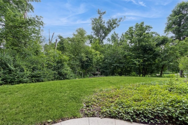 1916 Oak Knoll Ct SE, Cedar Rapids, IA 52403 - view of grassy yard