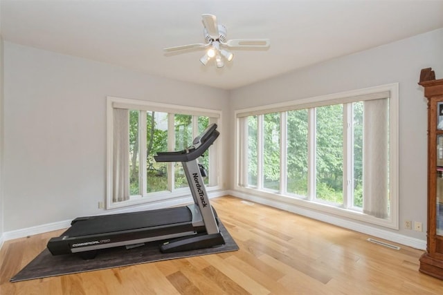 1916 Oak Knoll Ct SE, Cedar Rapids, IA 52403 - workout room featuring healthy amount of natural light, wood finished floors, and a ceiling fan
