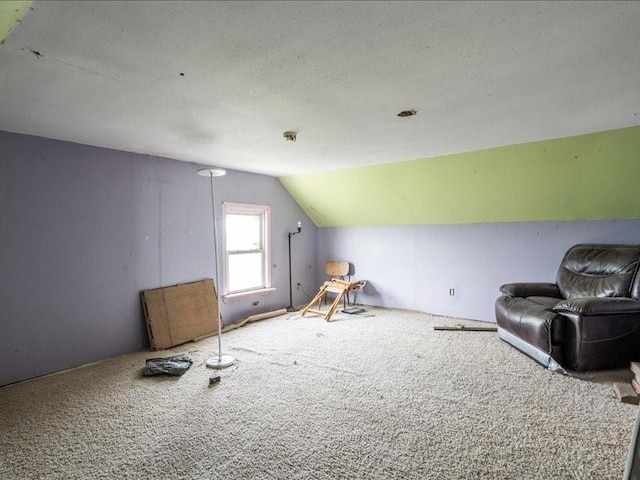 1931 140th St, Lowden, IA 52255 - additional living space featuring carpet flooring and vaulted ceiling