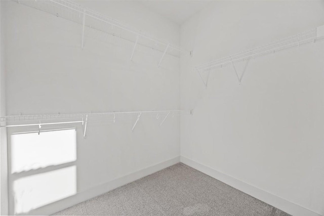 2682 Burr Oak Ct, Marion, IA 52302 - spacious closet with carpet floors