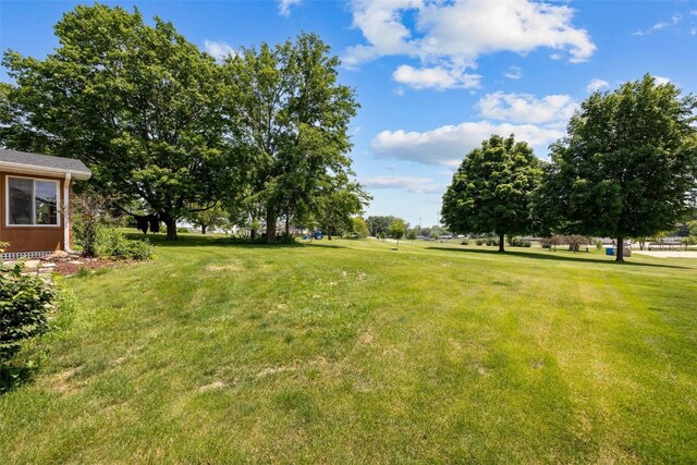105 Parkview Dr, Tipton, IA 52772 - view of green lawn
