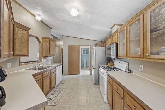 3017 118th St, Amana, IA 52203 - kitchen featuring appliances with stainless steel finishes, brown cabinets, a textured ceiling, glass insert cabinets, and vaulted ceiling