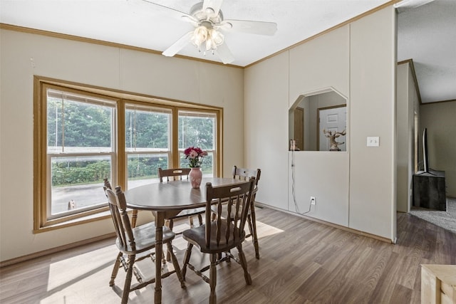3017 118th St, Amana, IA 52203 - dining room with healthy amount of natural light, ornamental molding, light wood-type flooring, and a ceiling fan