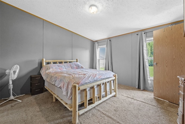 3017 118th St, Amana, IA 52203 - carpeted bedroom with a textured ceiling, multiple windows, and vaulted ceiling
