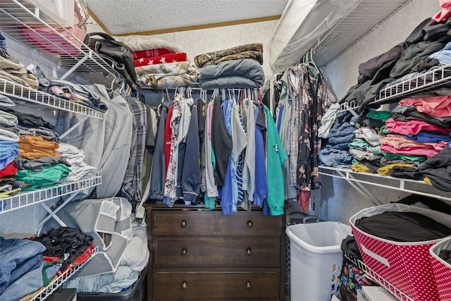 3017 118th St, Amana, IA 52203 - view of spacious closet