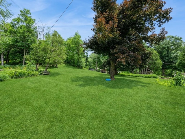 4288 Fox Meadow Dr SE, Cedar Rapids, IA 52403 - view of grassy yard