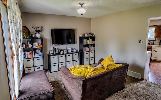 446 Bezdek Dr SW, Cedar Rapids, IA 52405 - carpeted living area with a sink and a textured ceiling