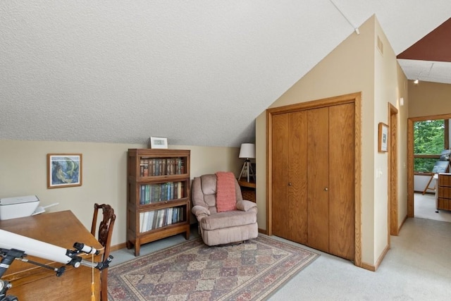 2520 NE Sugar Bottom Rd, Solon, IA 52333 - home office with vaulted ceiling, light colored carpet, and a textured ceiling