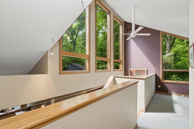 2520 NE Sugar Bottom Rd, Solon, IA 52333 - hallway featuring lofted ceiling, carpet floors, and a textured ceiling