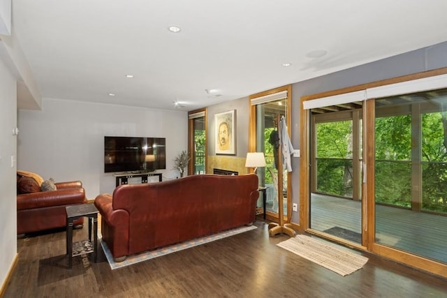 2520 NE Sugar Bottom Rd, Solon, IA 52333 - living area featuring wood finished floors and recessed lighting