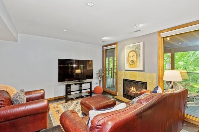 2520 NE Sugar Bottom Rd, Solon, IA 52333 - living area with a fireplace, healthy amount of natural light, and wood finished floors