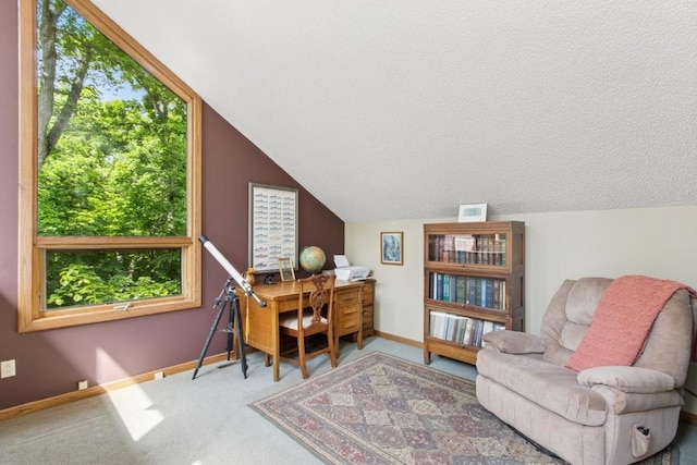 2520 NE Sugar Bottom Rd, Solon, IA 52333 - carpeted office featuring baseboards and lofted ceiling