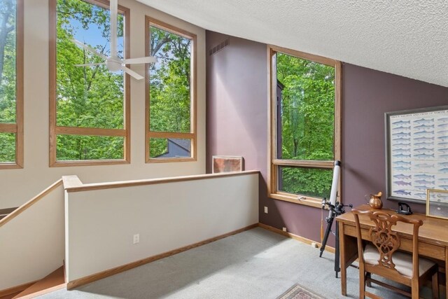 2520 NE Sugar Bottom Rd, Solon, IA 52333 - carpeted office with a textured ceiling and ceiling fan