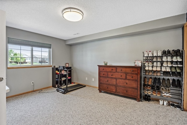 4131 Lakeview Dr SW, Cedar Rapids, IA 52404 - workout area featuring carpet flooring and a textured ceiling