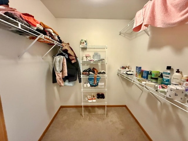 2208 Holiday Rd, Coralville, IA 52241 - walk in closet featuring carpet flooring
