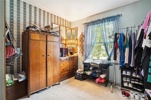433 Cherry Hill Rd NW, Cedar Rapids, IA 52405 - view of carpeted bedroom