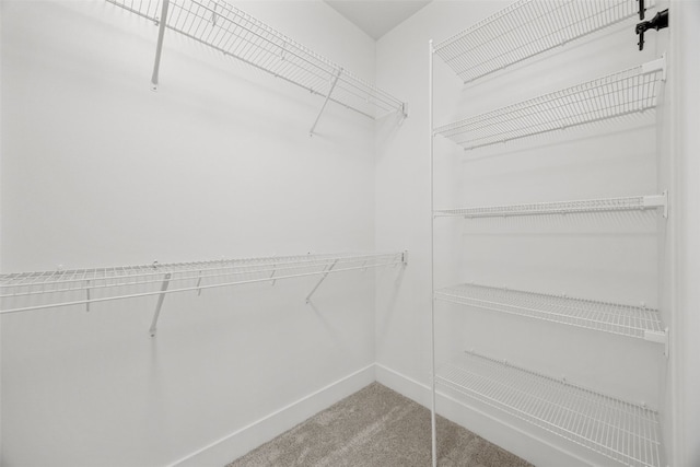 430 15th Ave SW, Mount Vernon, IA 52314 - walk in closet featuring light carpet