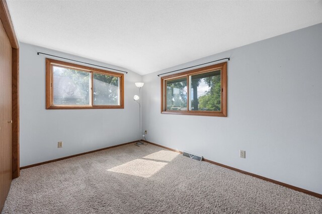 212 4th St SW, Mount Vernon, IA 52314 - empty room with carpet and lofted ceiling