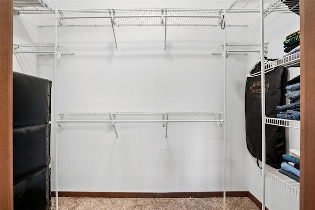 1102 S St, Urbana, IA 52345 - spacious closet with carpet