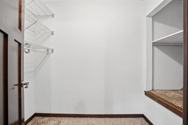 1102 S St, Urbana, IA 52345 - view of walk in closet