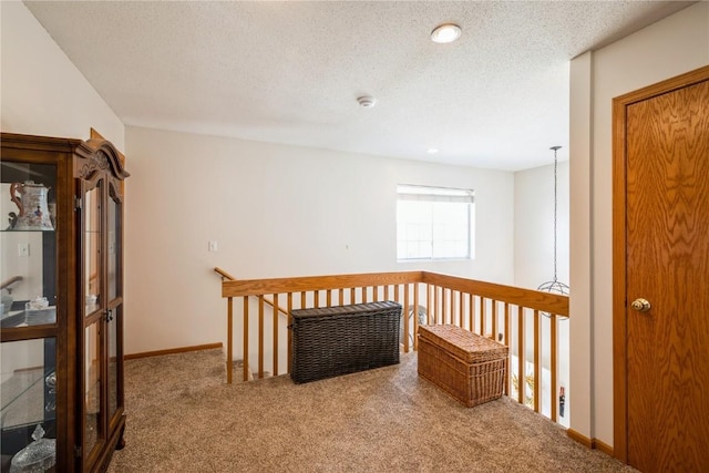 4593 Spoonbill Ct, Marion, IA 52302 - hall with carpet flooring and a textured ceiling